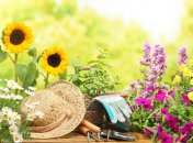 Лунный календарь садовода и огородника на август 2019 года