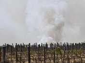 В МИД Украины заявили о готовности помочь Австралии