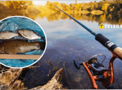 Рибалка в Київській області