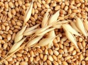 Россия не планирует вводить ограничения на экспорт зерна