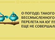Больше смейтесь и меньше грустите: анекдоты на день 14 января
