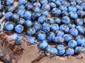 Як приготувати вдома смачний торт "Три шоколади"