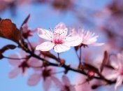 Погода на выходные: тепло возвращается, но местами обещают заморозки