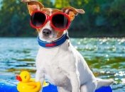 Прогноз погоды в Украине 11 августа: ожидается невыносимая жара