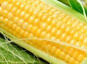 Импорт украинской кукурузы в Южную Корею