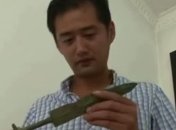 Мальчик в реке нашел клад-артефакт 3000-летней давности