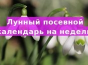 Лунный посевной календарь с 23 по 29 марта 2020 года