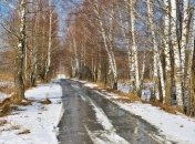 Прогноз погоды на 17 января: в Украине переменная облачность