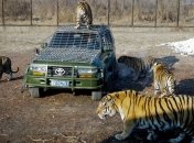 Кровавый алмаз 