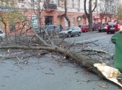  Во Львовской области 180 населенных пунктов остались без света 