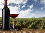 В Бордо пожар уничтожил 2 млн бутылок вина на $13 млн (Видео)