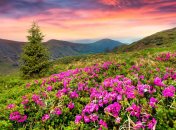 5 июля. Приметы дня