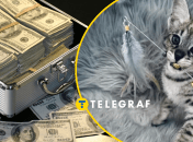 В Украине продают котенка за несколько тысяч долларов