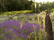 Какой сегодня церковный праздник - День Федора Житника