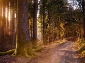 В Україну йде потепління