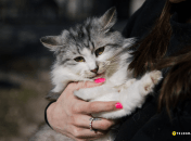 Пуша, возраст – до трех лет