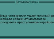 Укрась мир улыбкой: вечерние анекдоты 22 июня