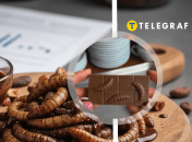 В Украине начала продавать шоколад с настоящими личинками