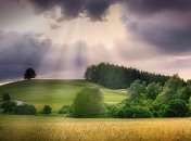 Дожди, грозы и жара: прогноз погоды на выходные