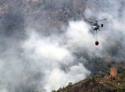 Масштабные лесные пожары в Греции приблизились к столице