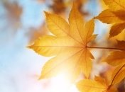 Прогноз погоды в Украине на 26 сентября: осадков не ожидается 