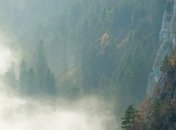 Туманная погода "замерла" накануне мокрого снега и заморозков