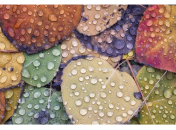 Народні прикмети про осінь