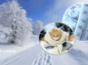 Снежная погода