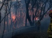 В Австралии бушуют лесные пожары: двое людей погибли и семеро пропали без вести