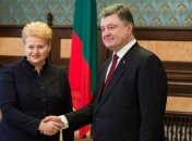 Грибаускайте: Литва планирует направить в Украину медиков