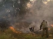 В Херсонской области горит 10 гектаров леса