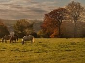 Праздник 1 ноября: народные приметы и запреты