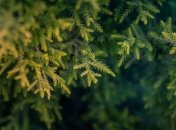 Какой праздник 30 декабря: народные приметы и запреты