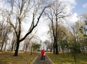 Синоптики рассказали, когда украинцам ждать первый снег 