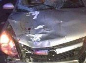 Под Киевом в ДТП погибли двое пешеходов