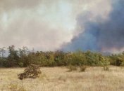 Масштабный пожар в Херсонской области ликвидирован