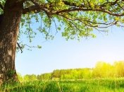 Конец июня будет довольно теплым