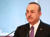 В Турции надеются на постоянное прекращение огня в Сирии и Ливии 