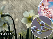 Прогноз погоды в Украине