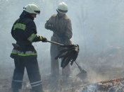 Спасателям осталось ликвидировать один очаг возгорания на Днепропетровщине