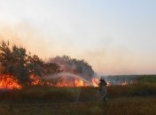 ГСЧС: Под Киевом горит 15 га леса 