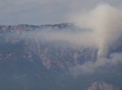 За поджог Ялтинского заповедника дали 7 лет 