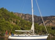 Британская яхта ударилась в кита и затонула 