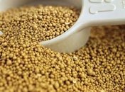 Пивные дрожжи для красоты и здоровья