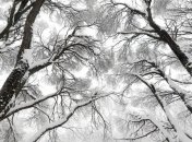 Накрыло 2-метровым слоем снега: сахалинцы ныряют в сугробы прямо из окна дома