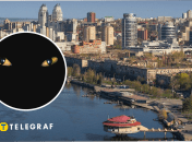 У Дніпрі помітили лисиць