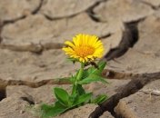 Предсказана новая смертельная угроза для человечества