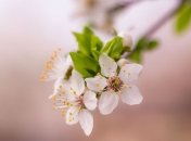 Какой праздник 13 марта: народные приметы и запреты