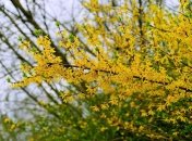 Прогноз погоды в Украине