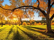 15 ноября. Приметы дня